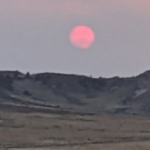 Meet your Posher, Samuel